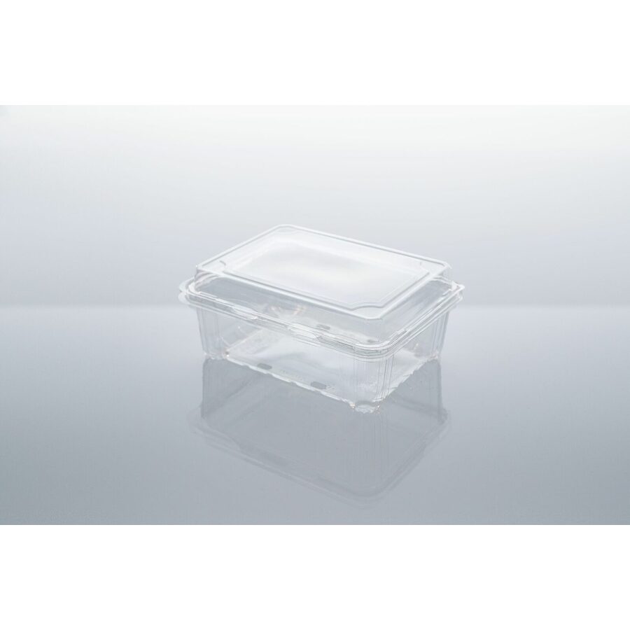 Clear Container - 500g Hinged Lid 300