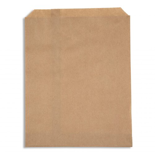 Paper Bag - #3 Flat Brown PNI 500