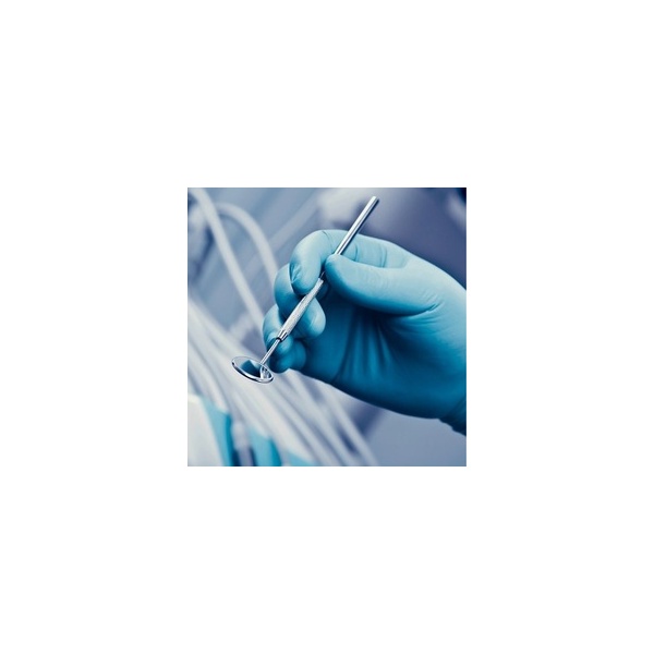 Gloves - Blue L Nitrile 100/10 Bas