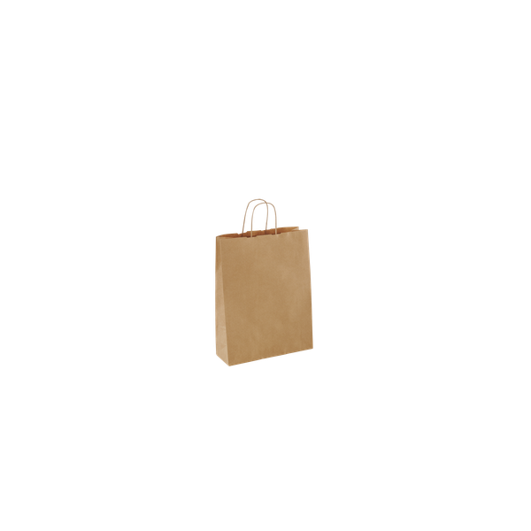 Carry Bag - Small Twist Handle 250 Det