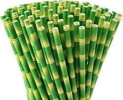 Super Smoothie Bamboo Print Paper Straw