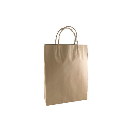 Kraft Paper Carry Bag - Twist Handle 350x260mm Huh 50/5