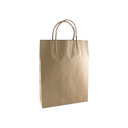 Kraft Paper Carry Bag - Twist Handle (500x450mm)