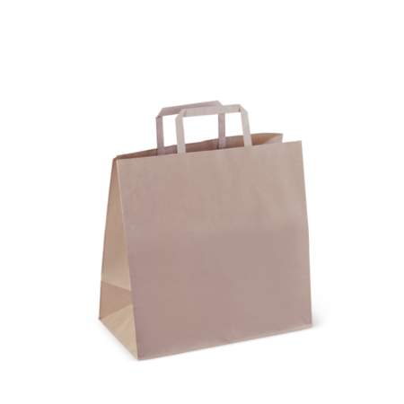 Paper Carry Bag #5 Flat Handle Det