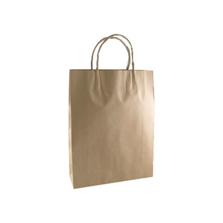 Kraft Paper Carry Bag - Twist Handle (265x160mm)