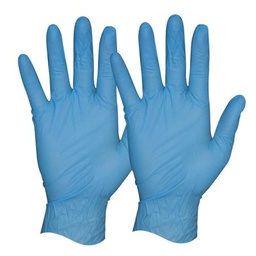 [DS-FVX-10BU] Gloves - Blue Powder-Free XL GP