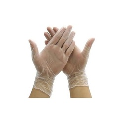 [C-GV0001] Gloves - Clear Powdered Small FPA