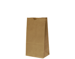 [C589S0010] Brown Paper Bag #4 SOS