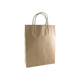 [BKPT500] Kraft Paper Carry Bag - Twist Handle (500x450mm)