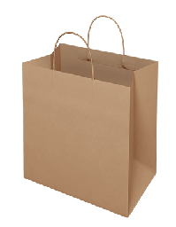 [THPB-M] Kraft Paper Carry Bag - Twist Handle Uber Style (300x305x175mm) Pin 50/5