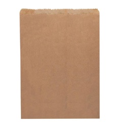 [B3F] Brown Paper Bag #3 Flat PNI 500